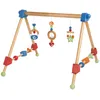 Image de Roba 98810 Gymnase Et Tapis D'Ã©veil Pour BÃ©bÃ© Polyester, Bois Multicolore Tapis De Gymnastique Pour BÃ©bÃ©
