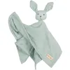 Image de Doudou Lapin Bio Lil Planet - Roba - 40 X 40 Cm - Vert