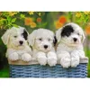Image de Puzzle 200 PiÃ¨ces PiÃ¨ces Xxl - Chiots En Peluche