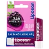Image de Soins & bases lèvres Liposan  Baume À Lèvres Blackberry Shine P30939345