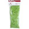 Image de Plumes - Vert clair - 5-10 cm - 5 g
