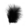 Image de Plumes - Noir - 8 cm - 10 pces