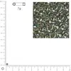 Image de Miyuki Delicas 10/0 transparent rainbow - Gris argenté DBM0107 - 7 g