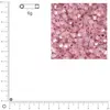 Image de Miyuki Delicas 10/0 éclat de perle - Rosé DBM0624 - 6 g