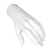 Image de Main en Polystyrène 21 cm Femme