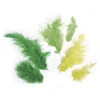 Image de Plumes - Camaïeu vert - 3-10 cm - 10 g