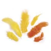 Image de Plumes - Jaune et orange - 3-10 cm - 10 g