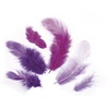 Image de Plumes - Camaïeu violet - 3-10 cm - 10 g