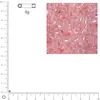 Image de Miyuki Delicas 11/0 éclat de perle - Rose poudre DB0234 - 8 g