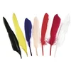 Image de Plumes indiennes - 17,5 cm - 12 pces