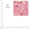 Image de Facettes dépolies - Quartz rose - 3 mm x 100 pces