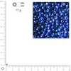 Image de Mini-rocailles opaques lustrées - Bleu foncé - Ø 2 mm x 17 g
