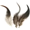 Image de Plumes de coq - 3 g