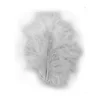 Image de Plumes - Gris - 8 cm - 10 pces
