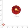 Image de Perles Renaissance - Orange - Ø 8 mm x 25 pces