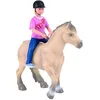 Image de Jeune CavaliÃ¨re