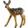 Image de Chevreuil - BÃ©bÃ©