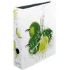 Image de Herlitz Motivordner Max.File Fresh Fruit "Limette", Din A4