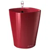 Image de Pot De Table Deltini - Kit Complet, Rouge Scarlet Brillant Ã 14 X 18 Cm