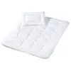 Image de ZÃ¶llner Steppbett-Set 4 Jahreszeiten 100x135+40x60cm