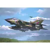 Image de Maquettes  Tornado Gr.1 Raf-Revell