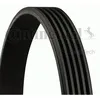 Image de Courroie D'accessoire 5pk1125