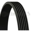 Image de Courroie Striee 6pk1100
