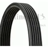 Image de Contitech Courroie D'accessoire 6dpk1195