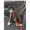 Image de Harnais De SÃ©curitÃ© Auto Chat