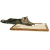Image de Tapis Griffoir Beige Brun