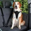Image de Harnais Pour Voiture Dog Protect, L: 65Â¿80 Cm/25 Mm, Noir - 12857