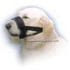 Image de MuseliÃ¨re Pour Chien En Nylon Taille Xxl