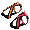 Image de Premium Harnais, SÂ¿M: 40Â¿60 Cm/20 Mm, Rouge - 20383