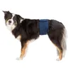 Image de Bande Ventrale Pour Chiens MÃ¢les - S-M: 37-45 Cm, Bleu FoncÃ©