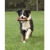 Image de Trixie Dog Activity Preydummy Jouet Pour Chien Ã 7 Ã 18 Cm