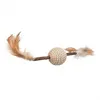 Image de Jouet Plume 20 Cm