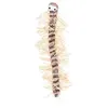 Image de Mille-Pattes, Peluche/Raphia - 33 Cm
