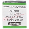 Image de Peinture aquarelle Horadam demi-godet extra-fine 530 - Vert de vessie