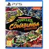 Image de Teenage Mutant Ninja Turtles: The Cowabunga Collection