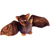 Image de Rudolf Schaffer Dragomir Chauve-Souris Peluche (18 Cm)