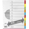 Image de Pagna Intercalaire En Carton, Format A4, 10 Positions, Extra