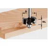 Image de Festool Plaquettes rÃ©versibles pour fraise Ã  feuillurer HW S8 D38/12 - 491085