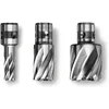 Image de Fein Fraise HSS Nova 25 emmanchement QuickIN Ã 12 x 25 - 63133119051