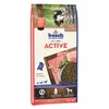 Image de Bosch Active