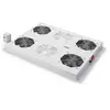 Image de DIGITUS Professional DN-19 FAN-4-SRV - Dessus de baie avec 2 ventilateurs - avec 4 ventilateurs de refroidissement - gris clair, RAL 7035 - 19