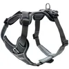Image de Hunter - Harness Divo S-M, Grey/Grey - (67621)