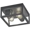 Image de Trio Garonne Plafonnier Vintage 2 LumiÃ¨res Anthracite Ip44