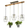 Image de Suspension Plant, 3 Lampes Avec Verres DÃ©coratifs