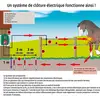 Image de Fermeture d'enclos à ressort