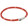 Image de Collier pour chien à LED rechargeable USB